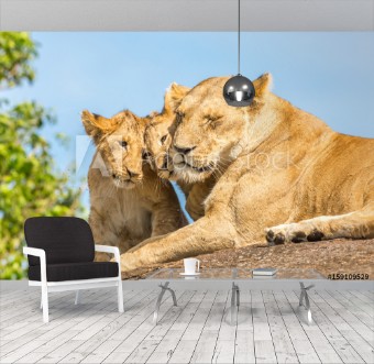 Picture of Lioness and lion cubs